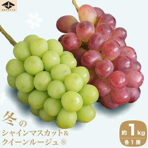 yӂ邳Ɣ[Łz~̃VC}XJbgNC[[WR 1kg e1[ mz{nt[c ʕ  Ԃǂ  uhE N[ ① y 쌧Y MBY N ߘa7