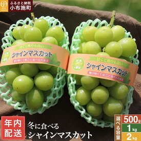 【ふるさと納税】年内発送 冬に食べるシャインマスカット 約500g 約1kg 約2kg 選べる 内容量 ［ おぶせファーマーズ ］ 年内配送 ぶどう フルーツ 果物 くだもの 長野県 産地直送 送料無料 令和8年産 【2026年11月中旬～12月下旬配送】 12月15日決済確定分まで年内配送