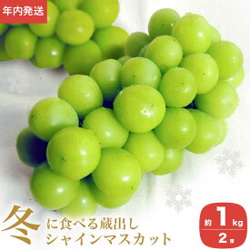 【ふるさと納税】先行受付 蔵出し冬のシャインマスカット 2房 ［小布施屋］［年内発送］ぶどう フルーツ 果物 くだもの 長野県 冷蔵便 クール便 産地直送 令和8年産【2026年12月発送】