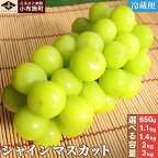 先行予約 シャインマスカット 選べる内容量 約1.1kg 約1.4kg 約2kg 約3kg ［小布施屋］ フルーツ 果物 くだもの ぶどう 葡萄 ブドウ 数量限定 クール便配送 長野県産 産地直送 令和6年産 【2024年 9月20日前後以降～11月頭にかけて順次発送】