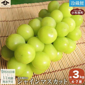 【ふるさと納税】2024 シャインマスカット 選べる内容量 約1.1kg 約1.4kg 約2kg 約3kg ［小布施屋］先行予約 フルーツ 果物 くだもの ぶどう 葡萄 ブドウ 数量限定 クール便配送 長野県産 産地直送 令和6年産 【2024年 9月20日前後以降～11月頭にかけて順次発送】