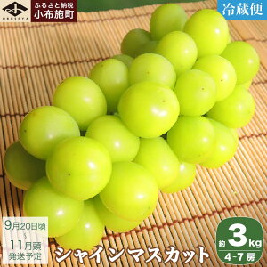 yӂ邳Ɣ[ŁzVC}XJbg 650g 1.1kg 1.4kg 2kg 3kg Iׂeʁmz{n t[c ʕ  Ԃǂ  uhE ʌ N[֔z 쌧Y Yn s\