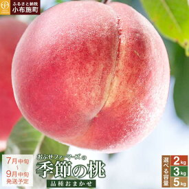 【ふるさと納税】桃 もも 季節の桃 約2kg 約3kg 約5kg 選べる 内容量［ おぶせファーマーズ ］ モモ ピーチ フルーツ 果物 あかつき 川中島白鳳 なつっこ 川中島白桃 黄金桃 だて白桃 先行予約 長野県産 クール便 冷蔵便 産地直送 令和8年産【2026年7月中旬～9月中旬発送】