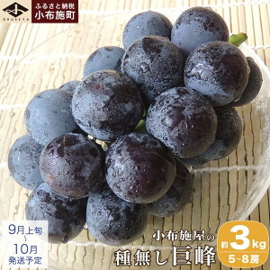 yӂ邳Ɣ[Łz햳 1.2kg 1.8kg 3kg Iׂe mz{n Ȃ ʕ t[c Ԃǂ  햳 Ȃ N[ ① s\ ʌ 쌧Y MBY fU[g 