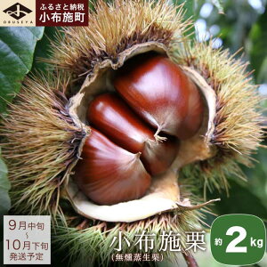yӂ邳Ɣ[Łzz{IiIj Iׂe 1kg 2kg mz{n ʕ t[c I  {OI s\ ʌ H̖o 쌧Y MBY uhI N[ 
