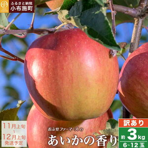 yӂ邳Ɣ[Łzy󂠂z̍ 3kg 6`12 mԂt@[}[Yn t[c ʕ ь S 쌧Y MBY H  LY s KiO ƒp 6000~ ߘa7NY y2025N11