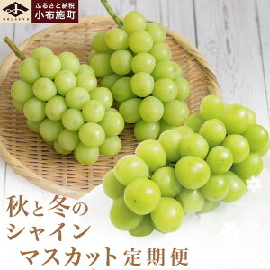 yӂ邳Ɣ[ŁzHƓ~̃VC}XJbg2 1kg × 2 v 2kg mz{n t[c Ԃǂ ʕ   uhE 쌧Y MBY N[ ① ʌ s\
