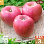 【訳あり】 サンふじ 選べる内容量 約3kg 6～12玉 約5kg 11～18玉 約10kg 26～40玉 ［おぶせファーマーズ］ 果物 フルーツ りんご 不揃い 規格外 家庭用 林檎 リンゴ ふじ 長野県 信州 数量限定 令和6年産 【2024年11月中旬?2025年2月下旬発送】