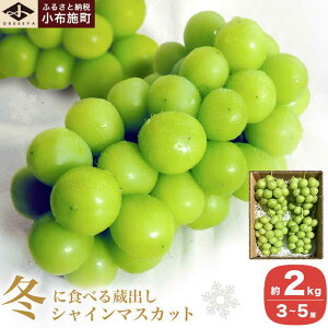 yӂ邳Ɣ[Łzo~̃VC}XJbg 600g 760g 1kg 1.3kg 2kg mz{nԂǂ t[c ʕ  쌧 s\ ① N[ Yn ߘa7NYy2025N11
