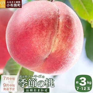 yӂ邳Ɣ[Łz  G߂̓ 2kg 3kg 5kg Iׂ eʁm Ԃt@[}[Y n  s[` t[c ʕ  쒆P Ȃ 쒆  Ĕ s\ 