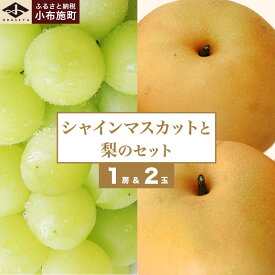 【ふるさと納税】シャインマスカット1房と梨2玉 詰め合わせ ［小布施屋］果物 詰合せ セット フルーツ ぶどう なし シャインマスカット 先行予約 期間限定 冷蔵便 クール便 数量限定 長野県産 信州産 令和8年産 【2026年9月中旬頃～10月下旬頃まで順次発送】