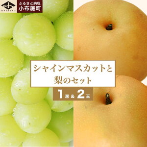 yӂ邳Ɣ[ŁzVC}XJbg1[Ɨ2 lߍ킹 mz{nʕ l Zbg t[c Ԃǂ Ȃ VC}XJbg s\ Ԍ ① N[ ʌ 쌧
