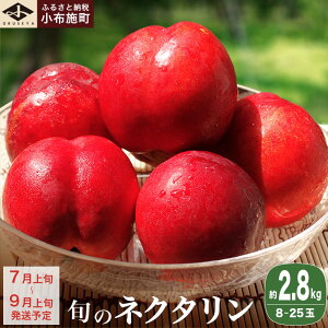 �y�ӂ邳�Ɣ[�Łz�{�̃l�N�^���� ��1.8kg ��2.8kg �I�ׂ� ���e�� �m���z�{���n�ʕ� �t���[�c �� ���� ���쌧�Y ���z�{ �①�� �N�[���� �Y�n���� ���ʌ��� �������� �ߘa8�N�Y�y2026�N7����{�`9