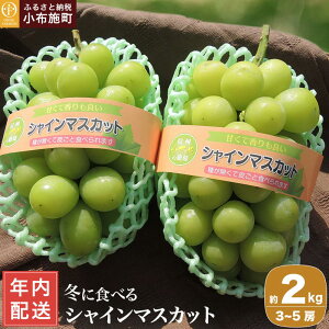 yӂ邳Ɣ[ŁzN ~ɐHׂVC}XJbg 500g 1kg 2kg Iׂ e m Ԃt@[}[Y n Nz Ԃǂ t[c ʕ  쌧 Yn  ߘa