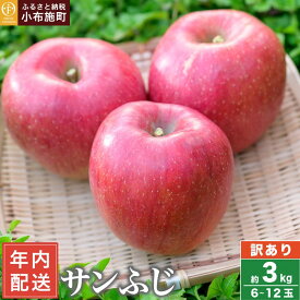 【ふるさと納税】 年内発送 【訳あり】 サンふじ 約3kg 6～12玉 ［おぶせファーマーズ］ 年内配送 果物 フルーツ りんご 不揃い 規格外 家庭用 林檎 リンゴ ふじ 長野県 信州 数量限定 2025 令和7年産 【2025年11月中旬〜12月下旬配送】 12月15日決済確定分まで年内配送
