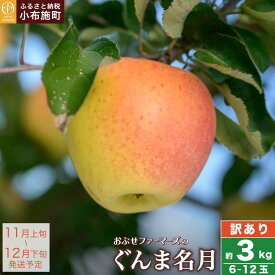 【ふるさと納税】【訳あり】ぐんま名月 約3kg 6~12玉 ［ おぶせファーマーズ ］ 果物類 林檎 りんご リンゴ 規格外 不揃い 数量限定 フルーツ 長野県産 信州産 6000円 令和7年産 【2025年11月上旬～12月下旬発送】