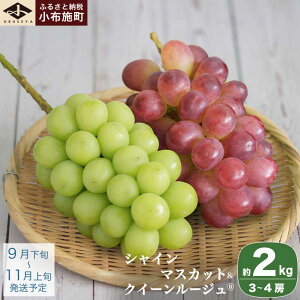 yӂ邳Ɣ[ŁzVC}XJbgNC[[WR 1kg 2kg Iׂe mz{nԂǂ Hה t[c ʕ   uhE N[ ① y 쌧Y MB