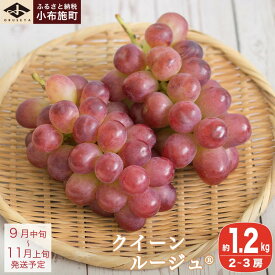 【ふるさと納税】クイーンルージュ® 約1.2kg 2~3房［小布施屋］ぶどう フルーツ 果物 くだもの 葡萄 ブドウ クール便 冷蔵 お楽しみ 長野県産 信州産 令和8年産 【2026年9月中旬～11月上旬発送】