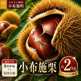 【ふるさと納税】小布施栗 約2kg［おぶせファーマーズ］ ｜果物 フルーツ 栗 生栗 長野県産 信州産 【2026年9月中旬～11月上旬発送】
