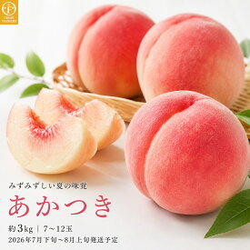 【ふるさと納税】 あかつき 約3kg 7～12玉 ［おぶせファーマーズ］ 桃 もも モモ ピーチ 先行予約 数量限定 フルーツ 果物 長野県産 信州産 クール便 冷蔵便 産地 直送 お取り寄せ 産地直送 送料無料 令和8年産【2026年7月下旬〜8月上旬発送】