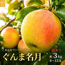 【ふるさと納税】【訳あり】先行受付 ぐんま名月 約3kg 6~12玉 ［ おぶせファーマーズ ］ 果物類 林檎 りんご リンゴ 規格外 不揃い 数量限定 フルーツ 長野県産 信州産 6000円 令和8年産 【2026年11月上旬～12月下旬発送】