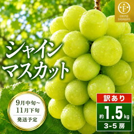 【ふるさと納税】 【訳あり】 シャインマスカット 約1.5kg 3～5房 ［おぶせファーマーズ］ 家庭用 果物 フルーツ ぶどう 規格外 不揃い 傷 令和8年産 【2026年9月中旬～11月中旬発送】 デザート 食後 旬 味覚 家族 団らん 信州 小布施町 ブドウ 葡萄 くだもの