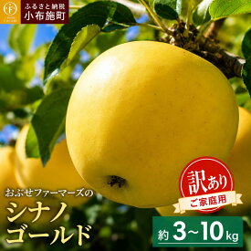 【ふるさと納税】 シナノゴールド 訳あり 家庭用 約3kg 約5kg 約10kg 選べる 内容量 ［おぶせファーマーズ］ りんご 林檎 リンゴ フルーツ 果物 くだもの 長野県産 小布施 産地直送 常温配送 令和8年産 【2026年10月中旬～2027年1月上旬発送予定】 信州