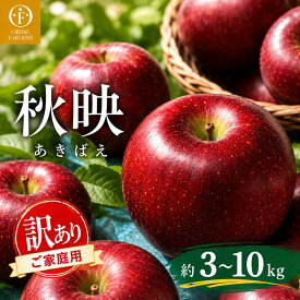 【 ふるさと納税 】 訳あり 秋映 家庭用 約3kg 約5kg 約10kg 選べる 内容量［おぶせファーマーズ］ | りんご 林檎 リンゴ フルーツ 果物 くだもの 長野 長野県産 小布施 産地直送 常温 2026 2026年発送 令和8年産 【2026年9月下旬～10月中旬発送予定】