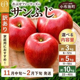 【ふるさと納税】【訳あり】先行受付 サンふじ 選べる内容量 約3kg 6～12玉 約5kg 11～18玉 約10kg 22～40玉 ［おぶせファーマーズ］ 果物 フルーツ りんご 不揃い 規格外 家庭用 林檎 リンゴ ふじ 長野県 信州 令和8年産 【2026年11月中旬〜2027年2月下旬発送】