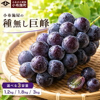 【ふるさと納税】 種無し巨峰 約1.2kg 約1.8kg 約3kg 選べる...