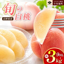 【ふるさと納税】 先行予約 桃 厳選 旬の白桃 約900g 約2kg 約3kg 選べる 内容量 ［小布施屋］ 長野県産 白桃 もも モモ フルーツ 果物 長野県産 信州産 クール便 冷蔵便 たまき なつき あかつき 川中島白鳳 川中島白桃など 令和8年産 【2026年7月上旬～9月中旬発送】