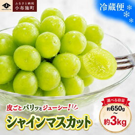 【ふるさと納税】先行受付 シャインマスカット 約650g 約1.1kg 約1.4kg 約2kg 約3kg 選べる内容量［小布施屋］ | フルーツ 果物 くだもの ぶどう 葡萄 ブドウ 数量限定 クール便配送 長野県産 小布施 産地直送 2026年発送 令和8年産 【2026年9月下旬頃～11月上旬に順次発送】