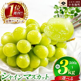 【ふるさと納税】先行受付 シャインマスカット 約500g 約1.1kg 約1.4kg 約2kg 約3kg 選べる内容量［小布施屋］ | フルーツ 果物 くだもの ぶどう 葡萄 ブドウ 数量限定 クール便配送 長野県産 小布施 産地直送 2026年発送 令和8年産 【2026年9月下旬頃～11月上旬に順次発送】