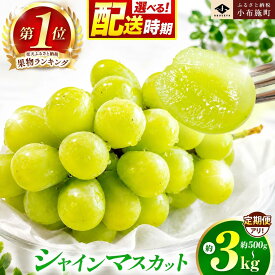 【ふるさと納税】シャインマスカット 選べる内容量 約500g 約1.1kg 約1.4kg 約2kg 約3kg 2回定期便 約1kg×2回［小布施屋］ぶどう 葡萄 ブドウ フルーツ 果物 長野県産 信州産 冷蔵 クール便 産地直送 令和8年産【2026年9月下旬～12月発送】