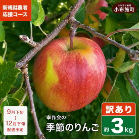 【ふるさと納税】【訳あり】 季節のりんご 約3kg ［新規就農者応援コース 幸作会］ りんご 林檎 リンゴ 不揃い 規格外 果物 フルーツ 長野 信州 3kg 産地直送 産直 数量限定 先行予約 生産者応援 支援 家庭用 お楽しみ 令和8年産 【2026年9月下旬～12月下旬発送】