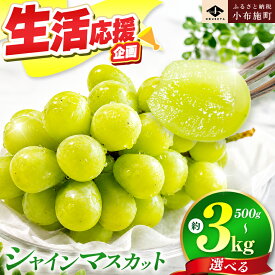 【ふるさと納税】先行受付 シャインマスカット 約500g 約1.1kg 約1.4kg 約2kg 約3kg 選べる内容量［小布施屋］ | フルーツ 果物 くだもの ぶどう 葡萄 ブドウ 数量限定 クール便配送 長野県産 小布施 産地直送 2026年発送 令和8年産 【2026年9月下旬頃～11月上旬に順次発送】