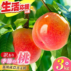 【ふるさと納税】【訳あり】季節の桃 約3kg ［新規就農者応援コース 幸作会］ 桃 もも 不揃い 規格外 家庭用 傷 先行予約 モモ フルーツ 果物 長野 信州 クール便 冷蔵便 令和8年産【2026年7月中旬～9月下旬発送予定】