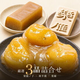 【ふるさと納税】 小布施堂 厳選 3品 詰合せ「栗の小径」 ［小布施堂］ 栗 和菓子 お菓子 スイーツ かのこ きんとん 落雁 らくがん 羊羹 ようかん 長野 信州 国産 贈答 ギフト 味比べ 秋 栗かのこ 栗きんとん くり 詰め合わせ お取り寄せ 名物 ご当地 セット 個包装
