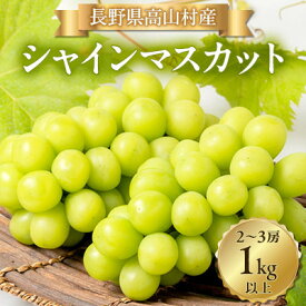 【ふるさと納税】【2026年発送】シャインマスカット2～3房(1kg以上)【配送不可地域：離島・北海道・沖縄県】【1404280】