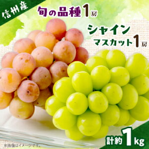 yӂ邳Ɣ[ŁzyMBYԂǂ2[Zbgz VC}XJbg1[E{̕i1[(500g×2[)yzsnFzy1499822z