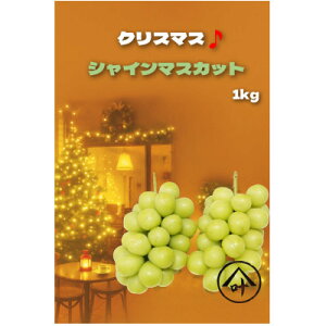 yӂ邳Ɣ[Łzy2025N12{\zVC}XJbg v1kgyzsnFzy1680581z