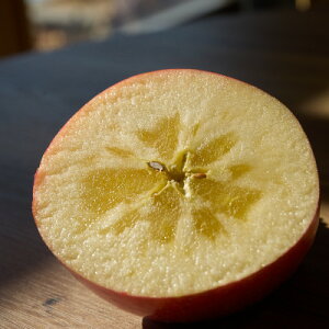 �y�ӂ邳�Ɣ[�Łz���쌧���R���Y�@�T���ӂ��G�i�@5kg�y1691380�z