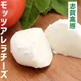 楽天市場 長野県 チーズ 送料無料の通販 楽天市場 長野県 チーズ 送料無料の通販