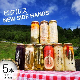 【ふるさと納税】NEW SIDE HANDS ピクルス（L）5本入　【加工食品・野菜加工品・野菜・ピクルス・瓶詰】