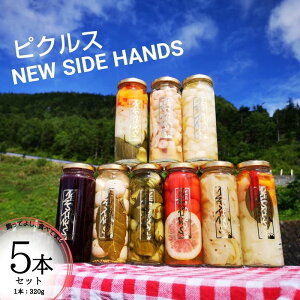 yӂ邳Ɣ[ŁzNEW SIDE HANDS sNXiSj5{ HHi ؉Hi  rl @͂FmF㐏