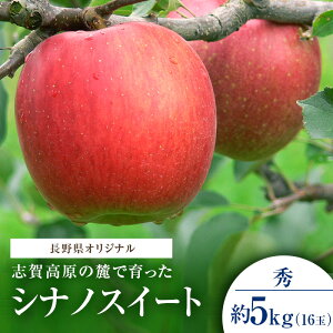yӂ邳Ɣ[Łzuꍂ̘[ň VimXC[g G16 5kg  t[c ʕ fU[g 쌧 @͂F2025N1020`30\聦no׎Ă
