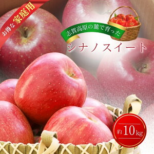 yӂ邳Ɣ[Łzuꍂ̘[ň VimXC[g iƒpj10kg  10kg t[c ʕ 쌧 @͂F2025N1020`30\聦no׎Ă
