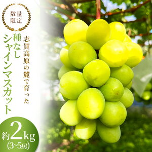 yӂ邳Ɣ[Łzuꍂ̘[ň VC}XJbg 3`5[ 2kg ͂ws Ԃǂ t[c ʕ fU[g 쌧 @͂F2025N10{`{\聦n