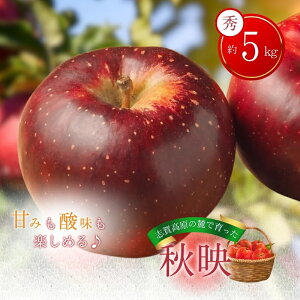 yӂ邳Ɣ[Łzuꍂ̘[ň Hf G16 5kg  S t[c ʕ fU[g  쌧 @͂F2025N105`1015\聦no׎