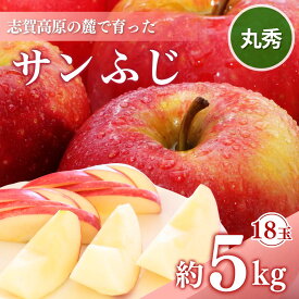 【ふるさと納税】志賀高原の麓で育った サンふじ 丸秀18玉 約5kg りんご 5kg フルーツ 果物 デザート 長野　お届け：2025年12月1日～10日頃発送予定 ※収穫時期や出荷時期が限られているため日時指定不可